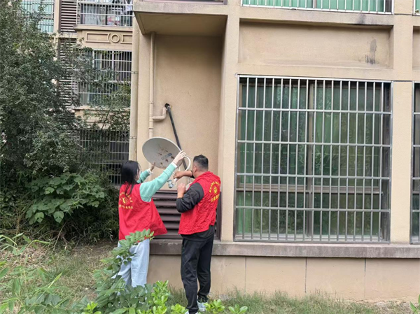 金桂.png