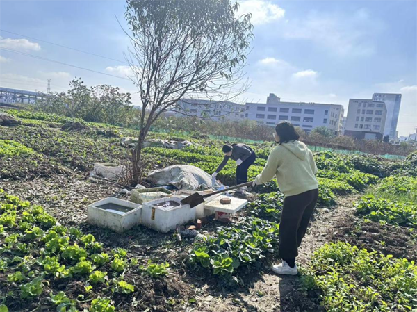 金桂.png 金桂.png