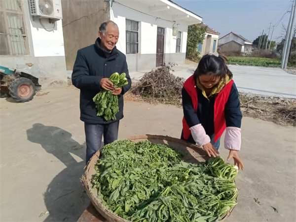 白龙2.png 白龙2.png