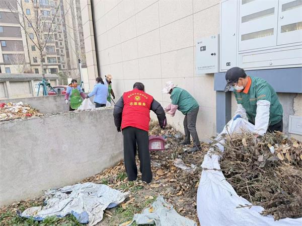 金桂.jpg 金桂.jpg