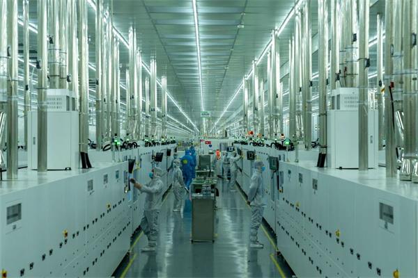 微信图片_20260130164428_228_25.jpg 微信图片_20260130164428_228_25.jpg