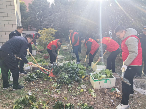 图片1.png 图片1.png