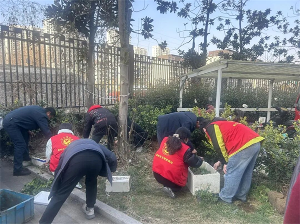 图片5.png 图片5.png