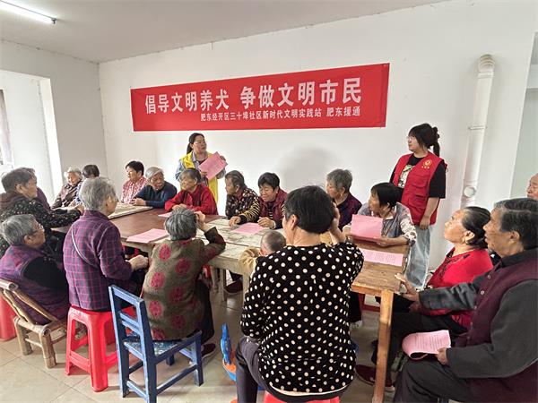肥东经开区三十埠社区：倡导文明养犬 争做文明市民（2）.jpg