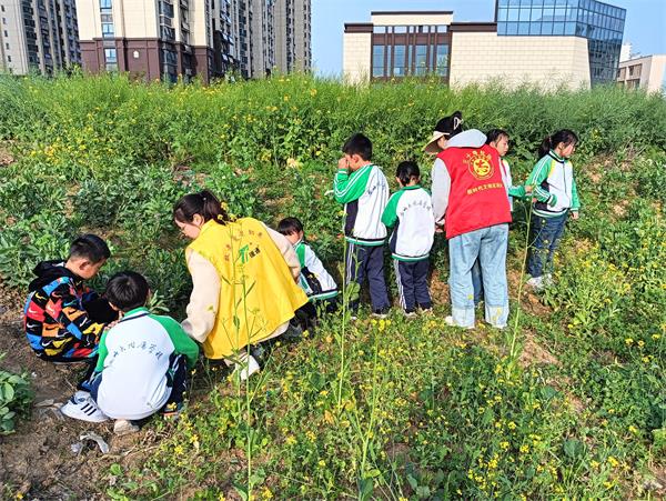 三十埠社区：拥抱自然  沐浴春光4.jpg