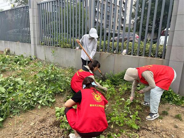 肥东经开区三十埠社区：整治毁绿种菜 提升环境品质3.jpg