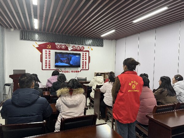 微信图片_20250114171934.jpg