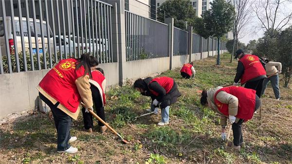 三十埠社区：开展毁绿种菜专项整治3.jpg