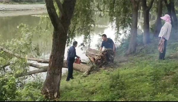 三十埠社区：清理倒伏树木  守护河道畅通1.jpg