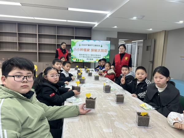 肥东经开区三十埠社区：小小种植家 探秘太阳花3.jpg