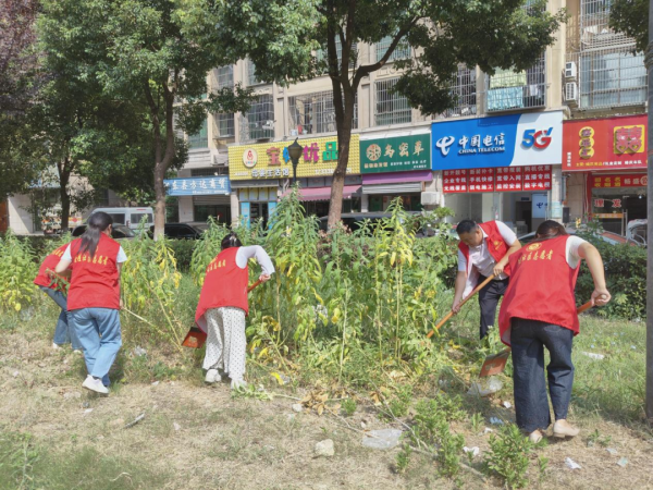 图片4.png